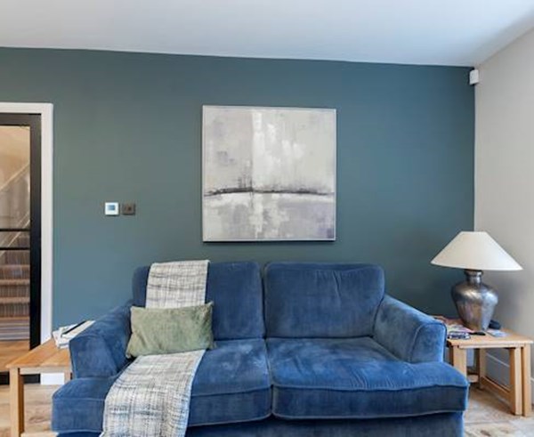 1 Viburnum Close-06.jpg